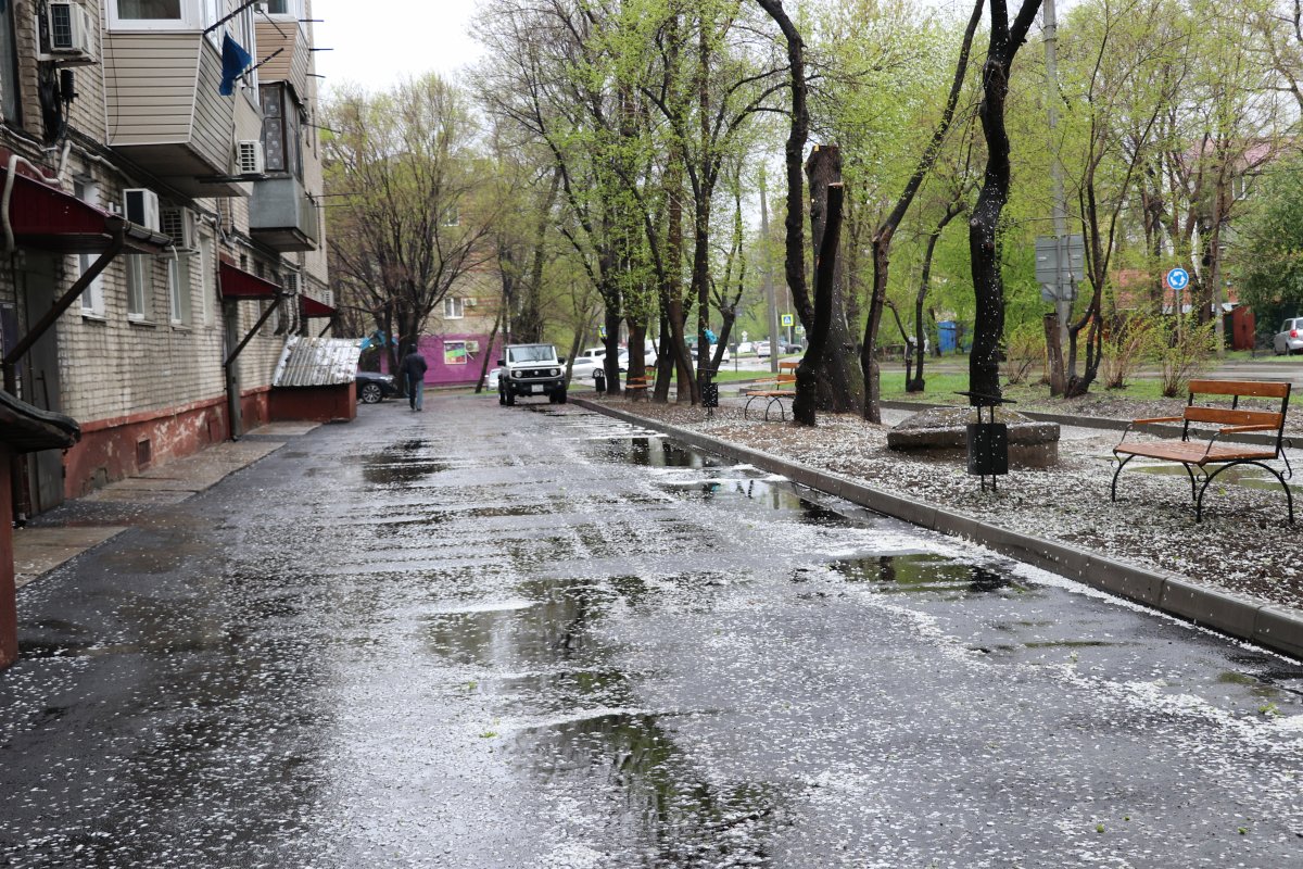 Первый уссурийский двор в этом году благоустроили | 06.05.2024 | Уссурийск  - БезФормата